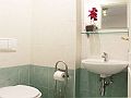 Velký apartmán na Smíchově Záchod