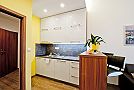 Top Prague Apartments - APARTMENT YELLOW Kuchyň