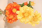 Epstein Apartments - Flowers 1 