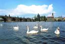 Romantic view of Charles Bridge